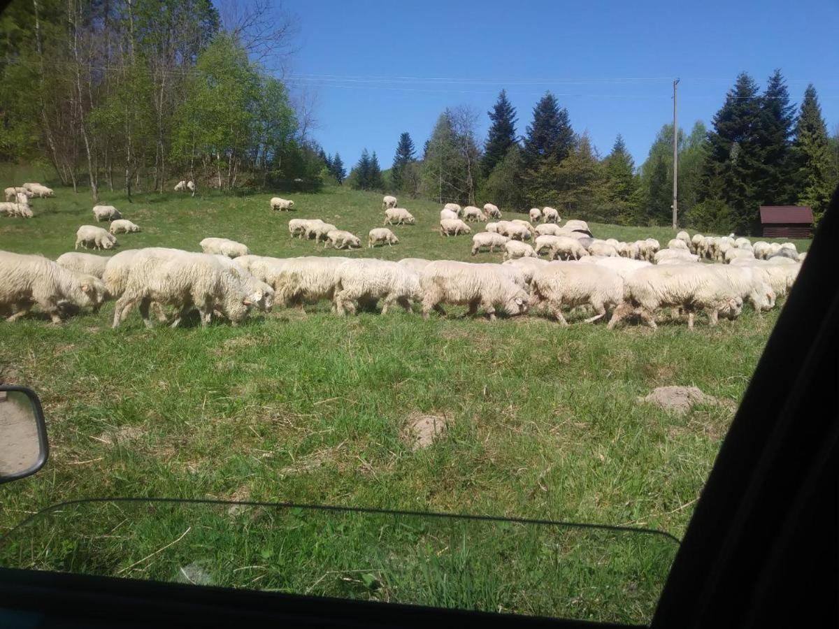 Agroturystyka Boguska Zawoja Zewnętrze zdjęcie